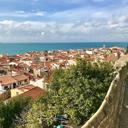 Charming House In The Center Of *
